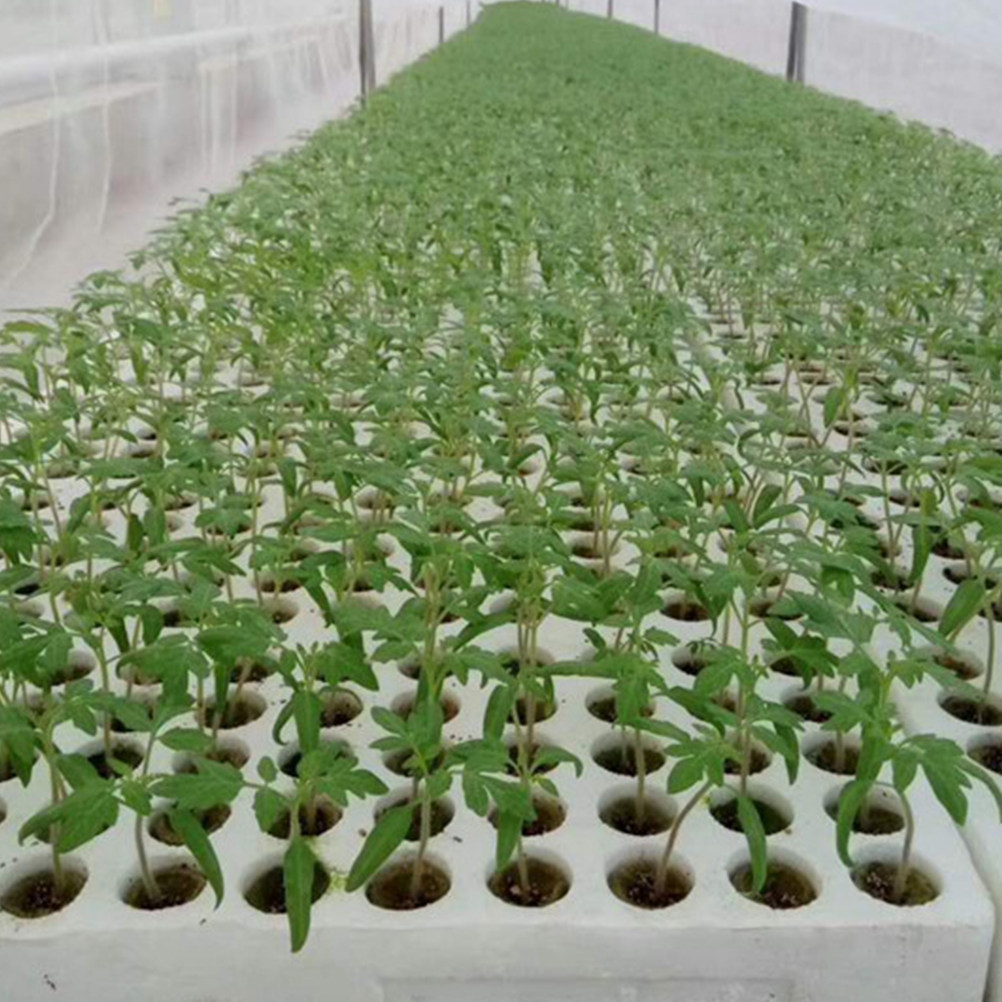 40Pcs Grow Soilless Culture Hy - Hydroponic Kit ulasan dan harga