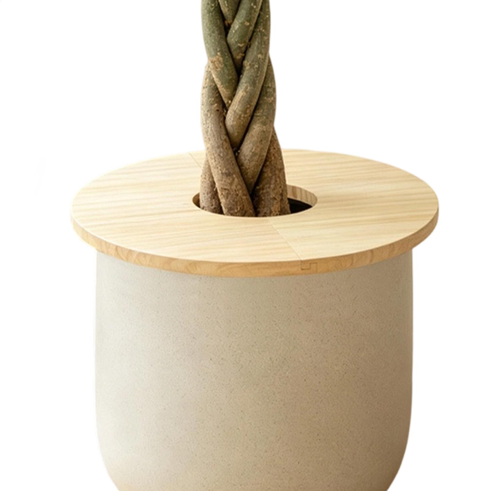 Flower Pot Covers Wooden Split - Indoor Herb Garden ulasan dan harga
