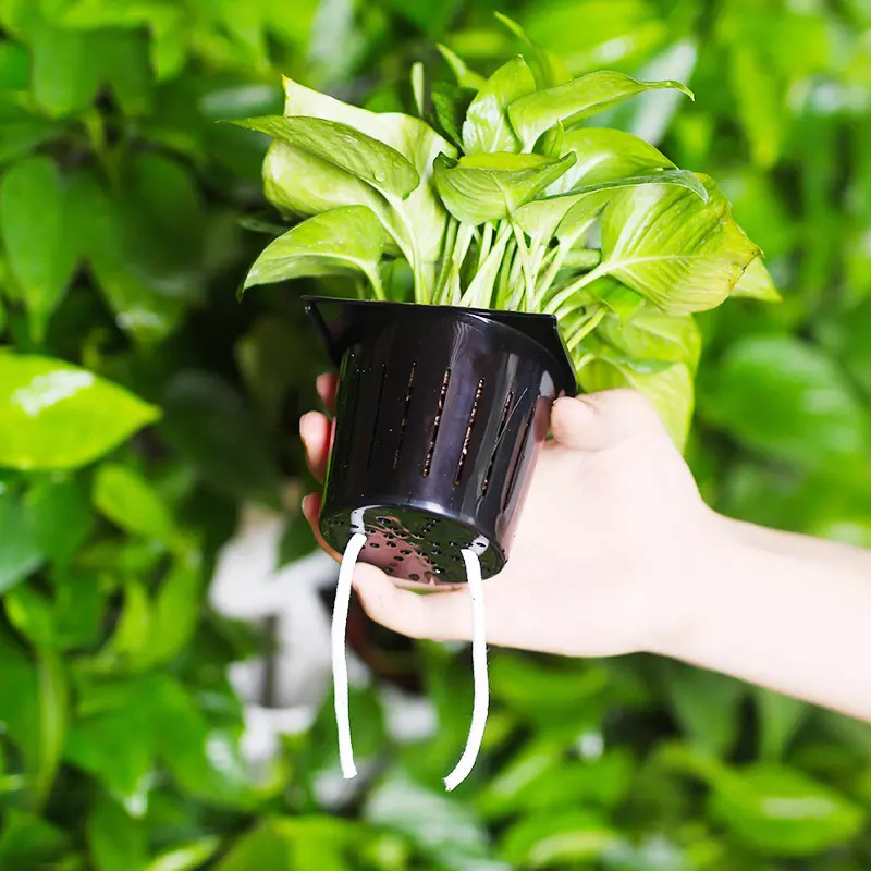 Hydroponics Indoor Kit 2 Squar - Hydroponic Kit ulasan dan harga