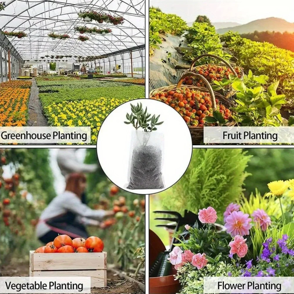 100pcs Biodegradable Seed Nurs - Seed Starter Tray ulasan dan harga