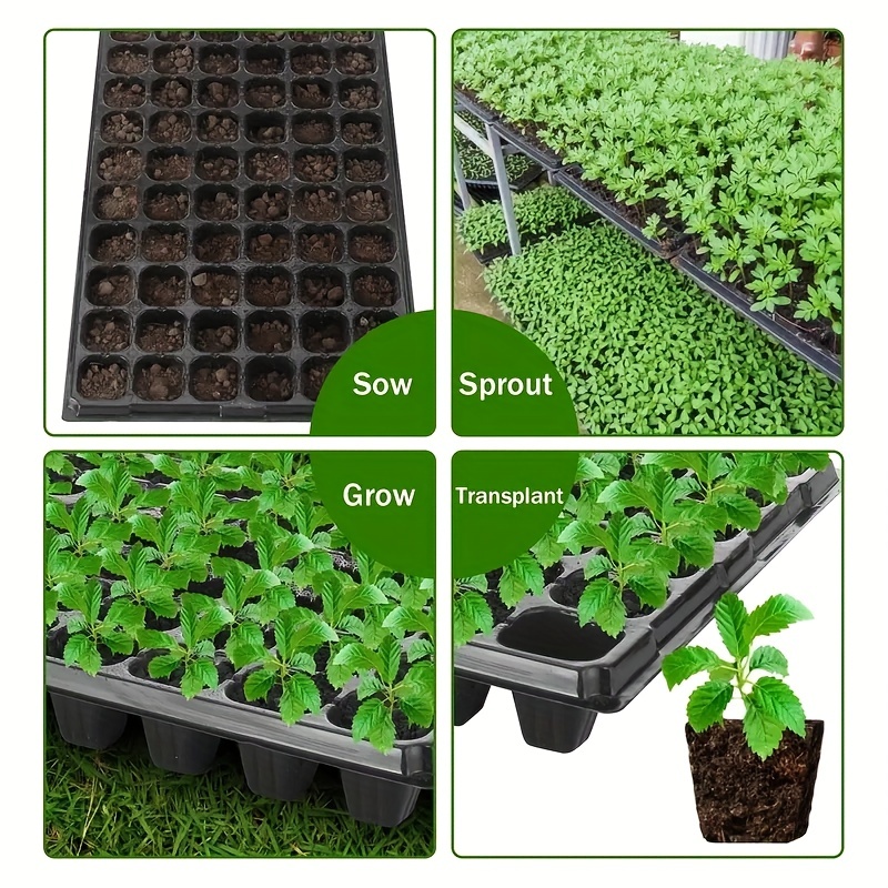 10-20 Nursery Tray, Greenhouse - Seed Starter Tray ulasan dan harga