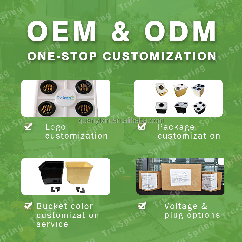 Dutch Bucket Hydroponic System - Hydroponic Kit ulasan dan harga