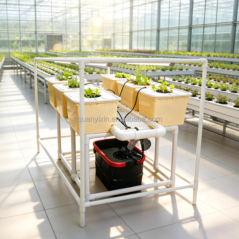 Dutch Bucket Hydroponic System - Hydroponic Kit ulasan dan harga