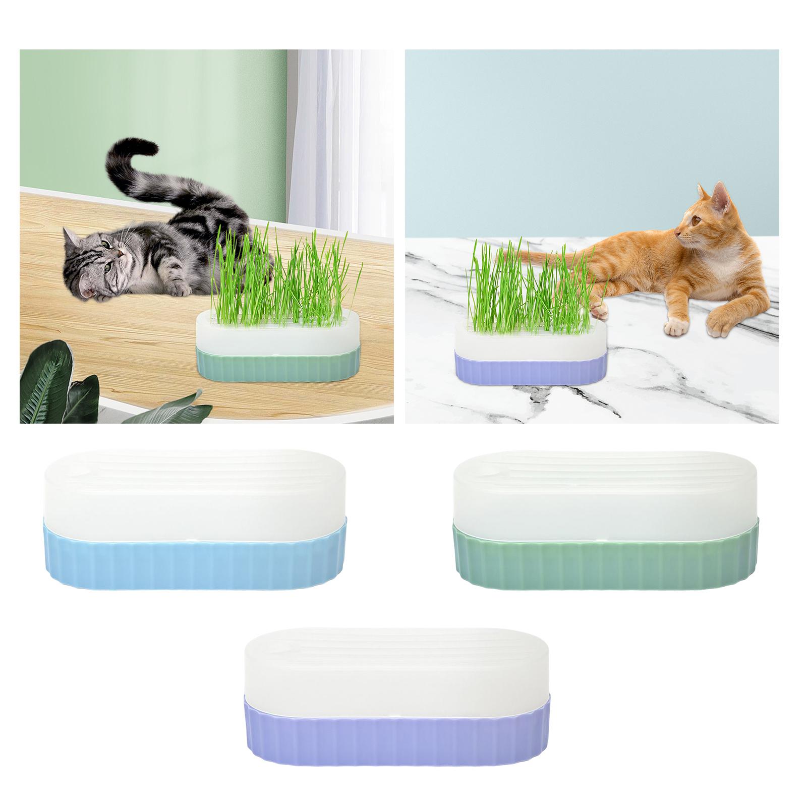 Seed Sprouter Tray with Drain  - Hydroponic Kit ulasan dan harga