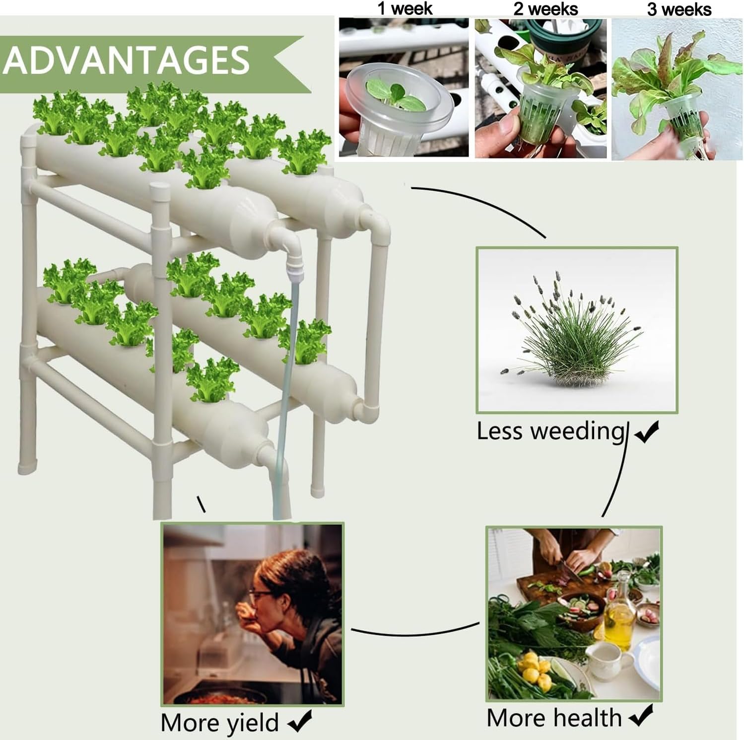 Hydroponic Growing System 20 H - Hydroponic Kit ulasan dan harga