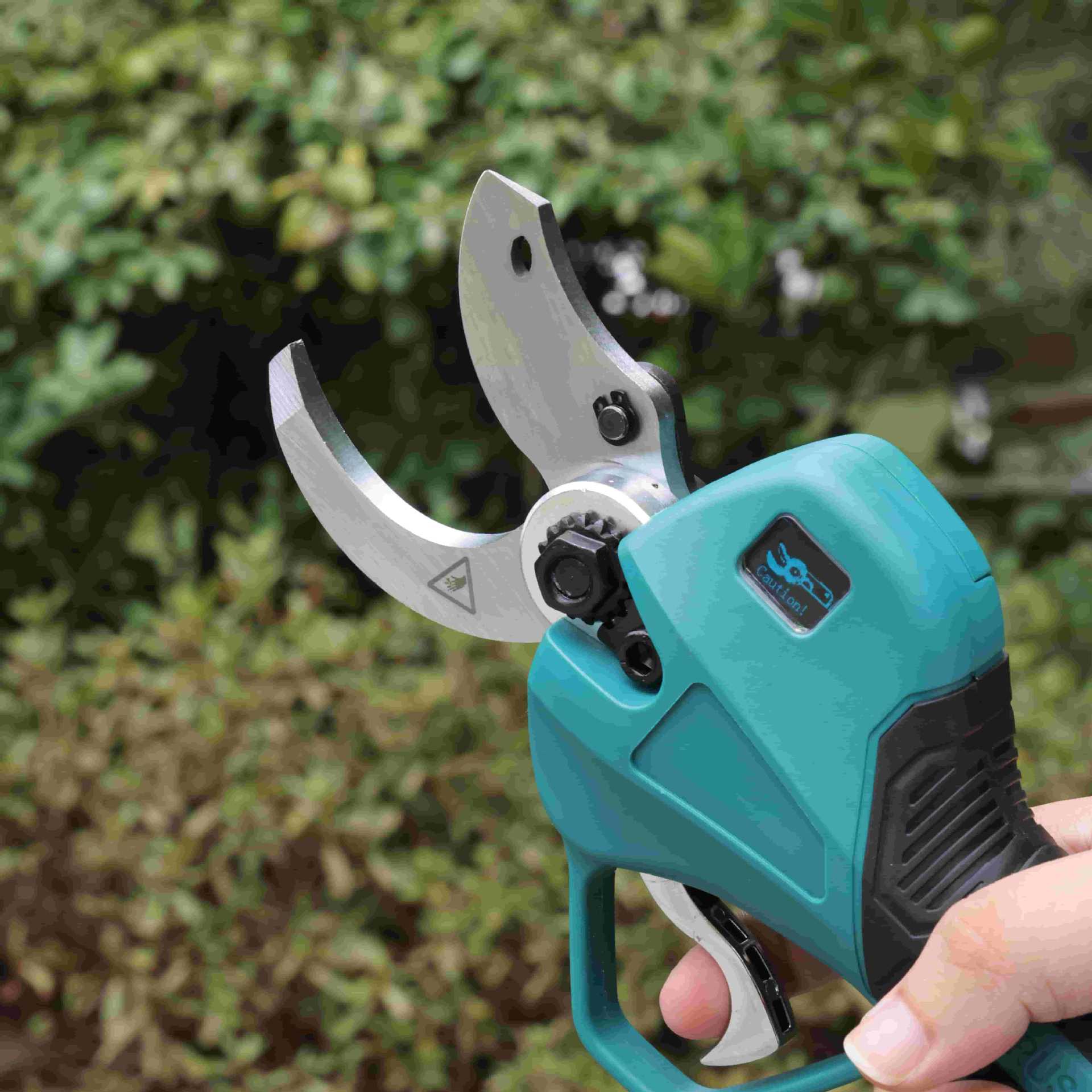 High pole garden pruning shear - Pruning Shears ulasan dan harga
