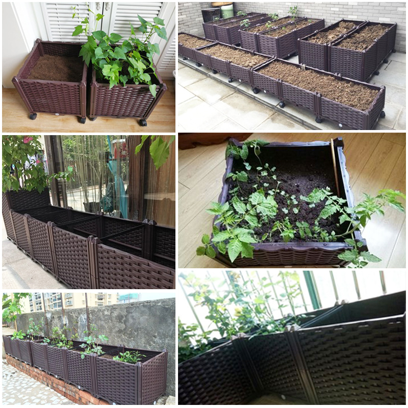 Self Watering Raised Garden Be - Indoor Herb Garden ulasan dan harga