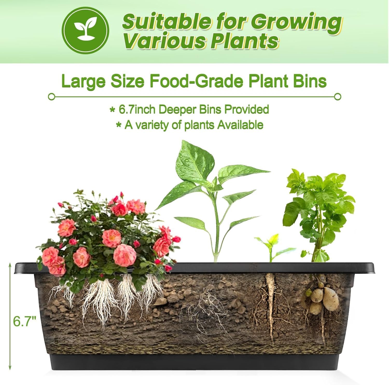Vertical Raised Garden Bed Wit - Vertical Planter ulasan dan harga