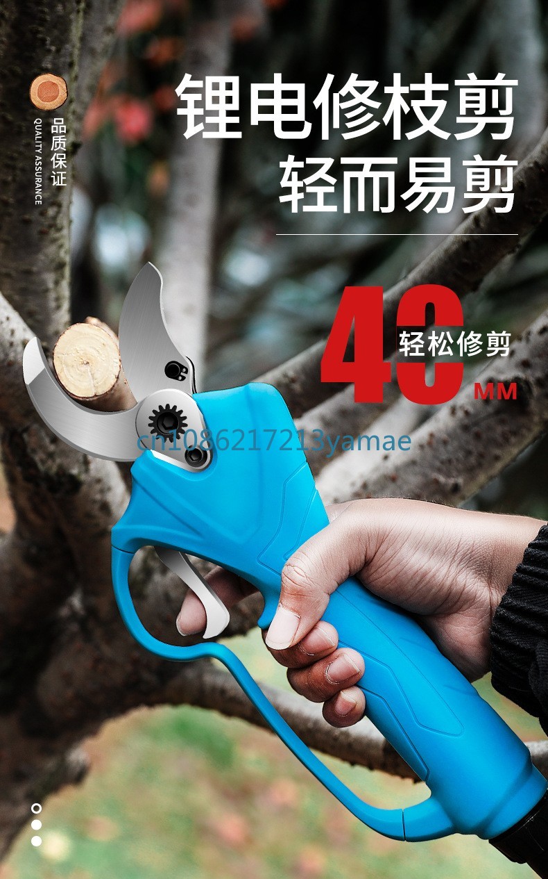 Lithium Battery Backpack Elect - Pruning Shears ulasan dan harga