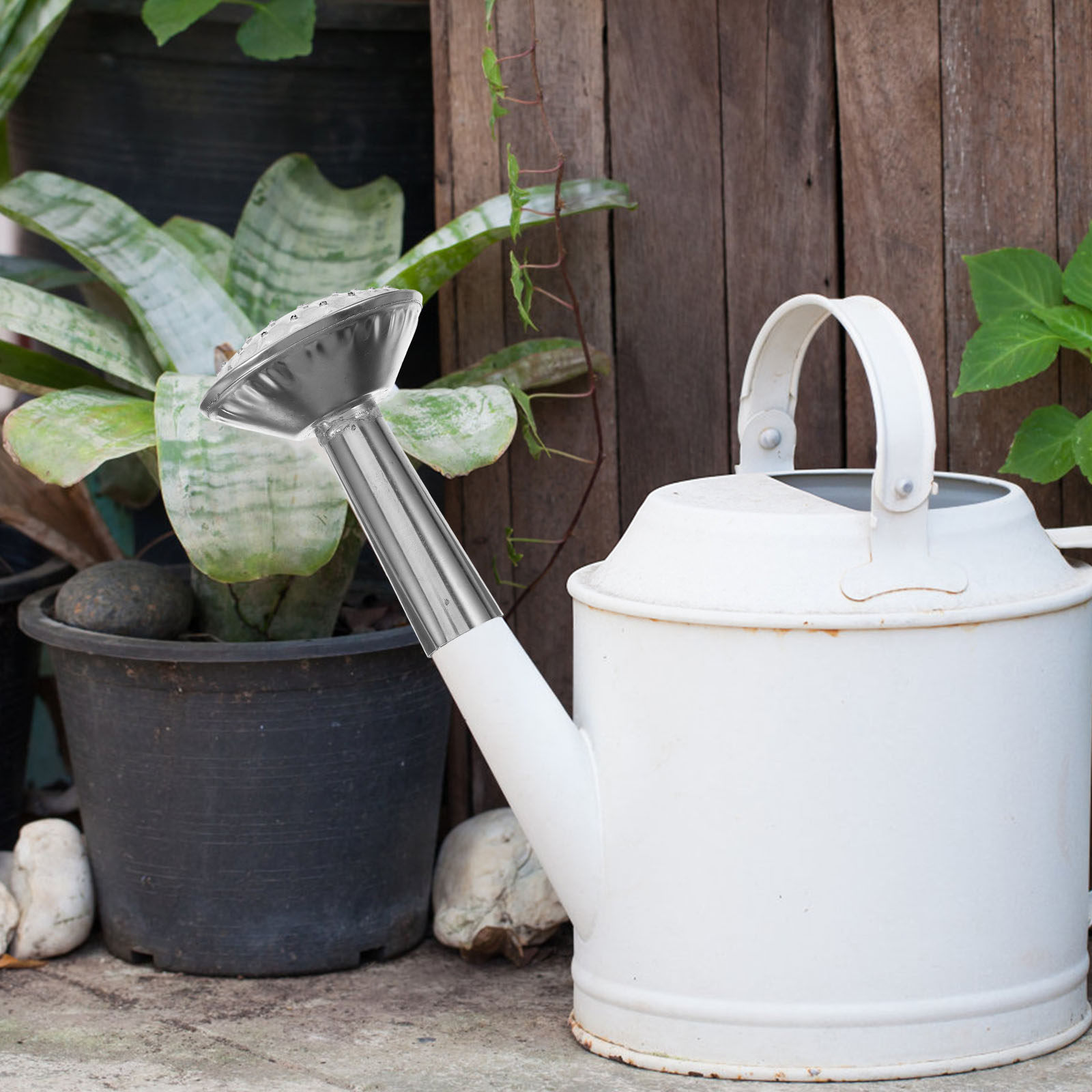 Stainless Steel Watering Can S - Watering Can ulasan dan harga