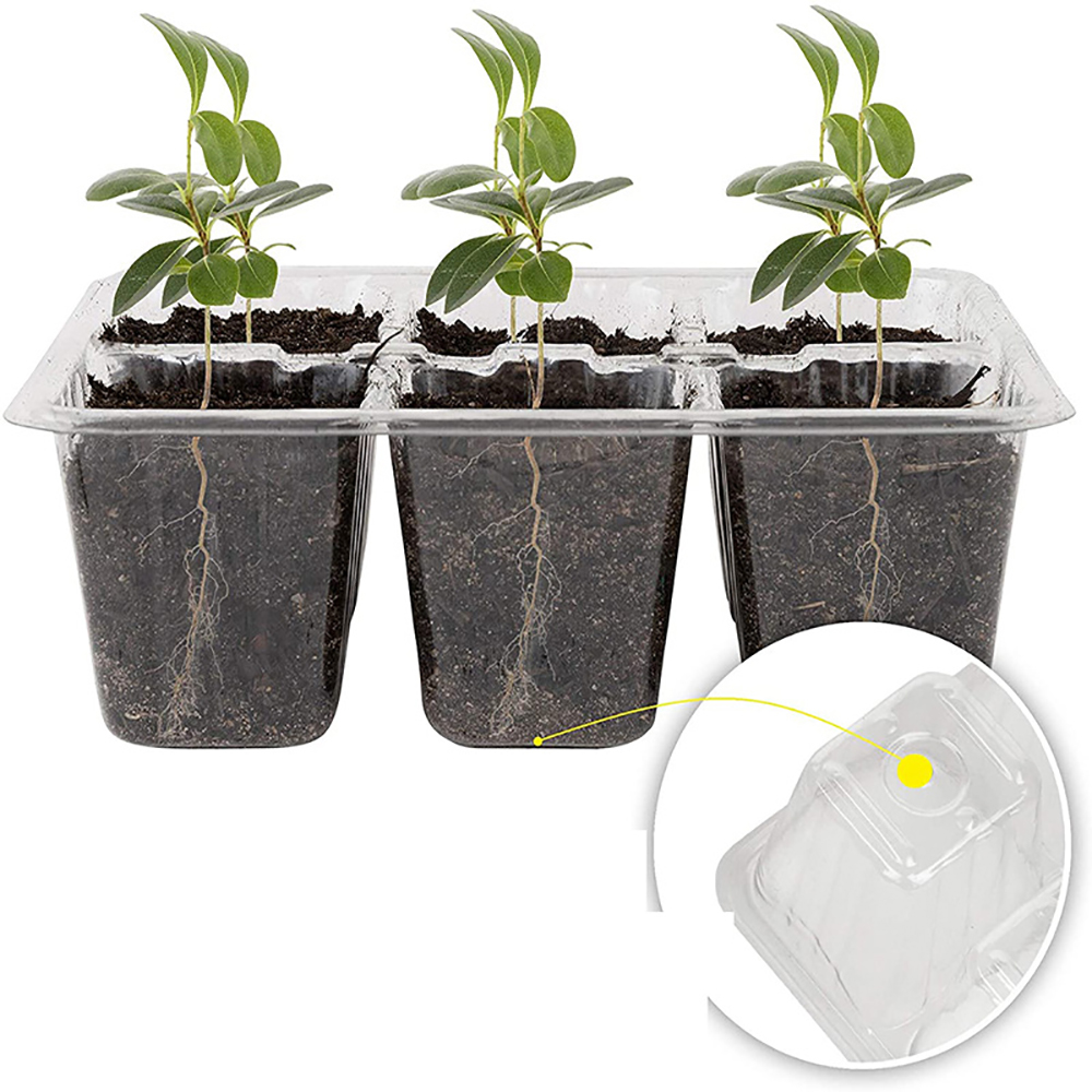 Seed Starter Trays with Grow L - Seed Starter Tray ulasan dan harga