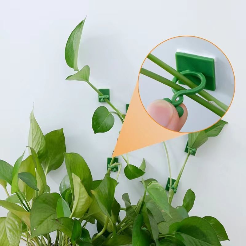 Self‑Adhesive Plant Climbing W - Indoor Herb Garden ulasan dan harga