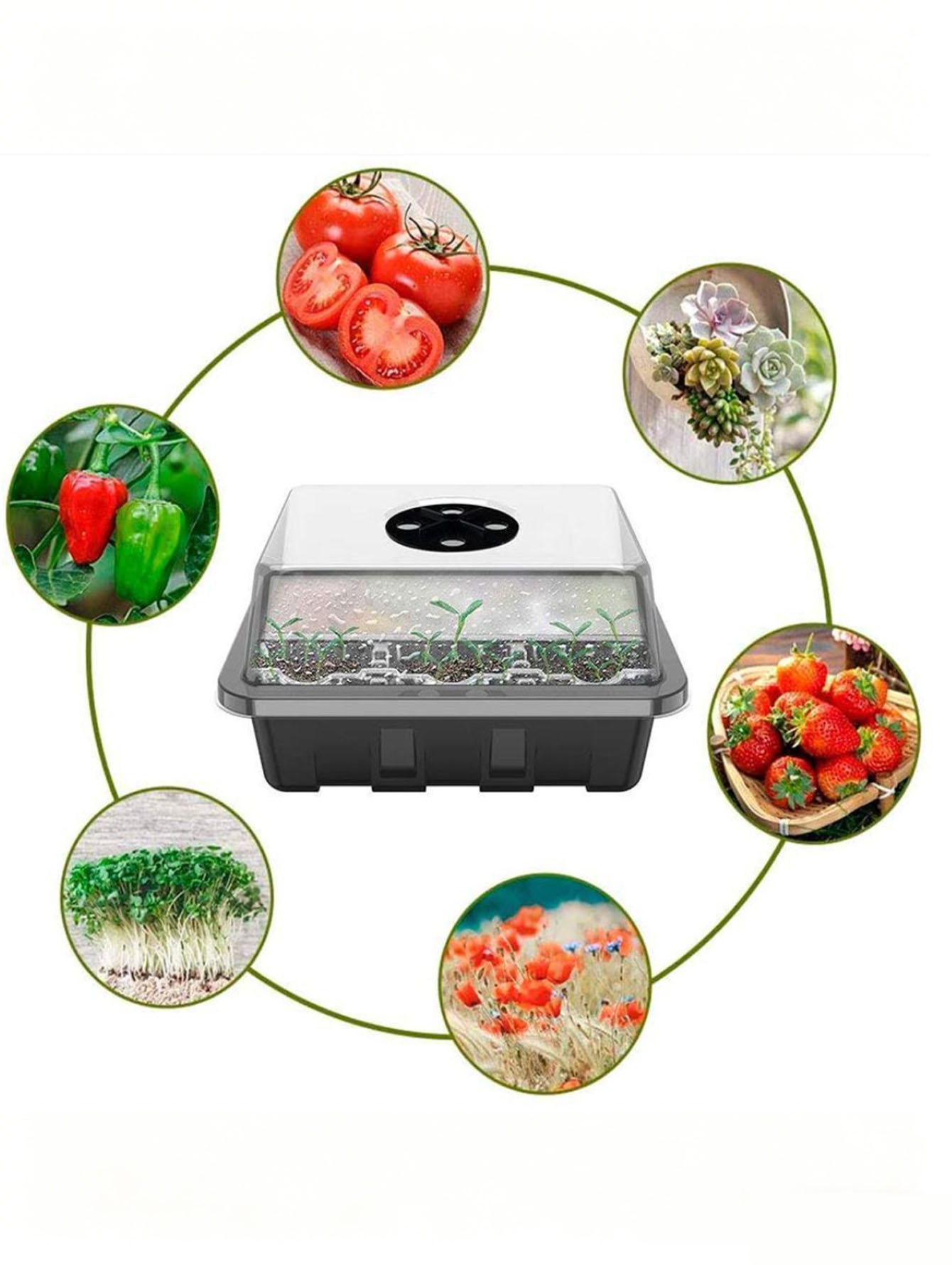 1/2pc 6/12-Hole Seedling Tray, - Seed Starter Tray ulasan dan harga