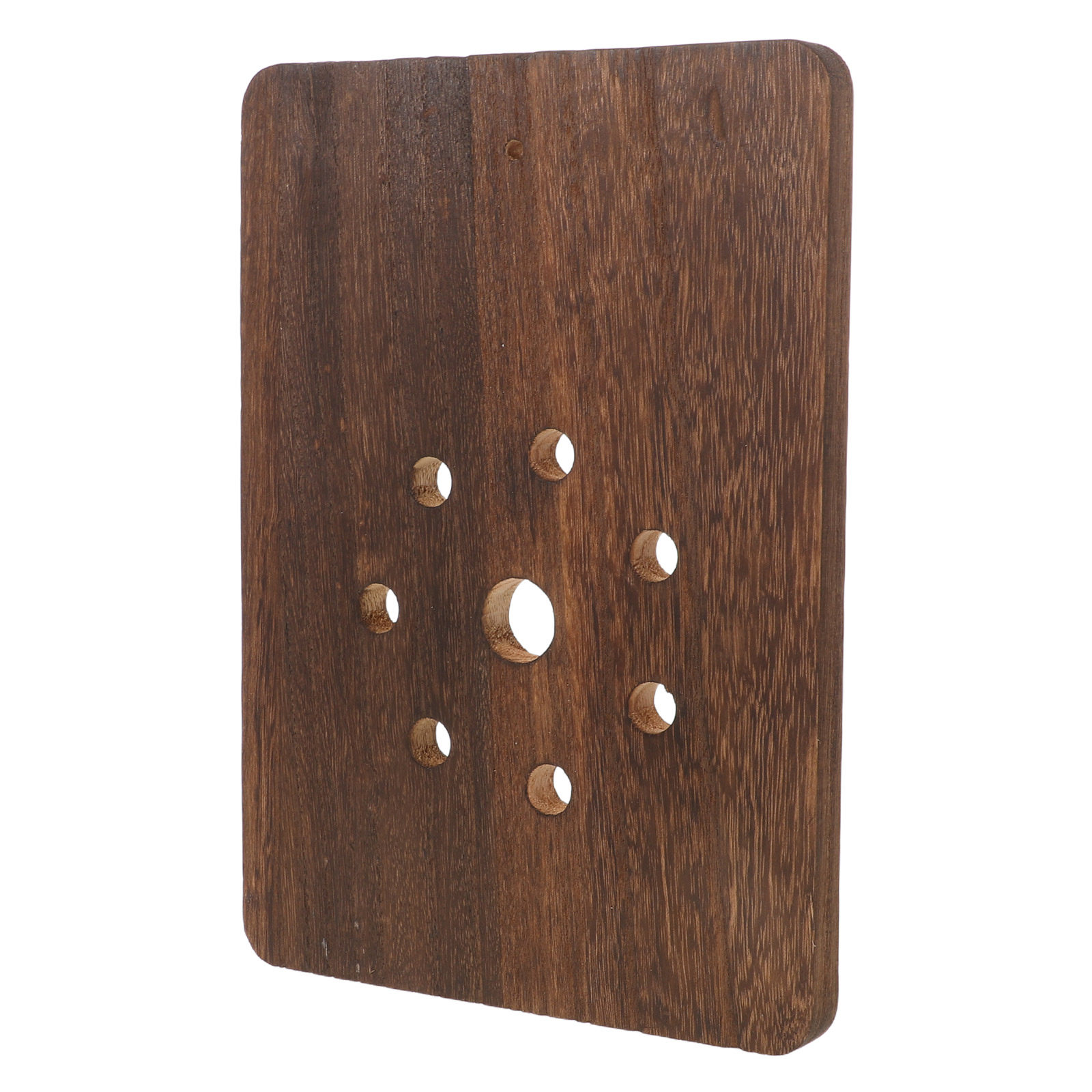 Staghorn Fern Mounting Board S - Vertical Planter ulasan dan harga