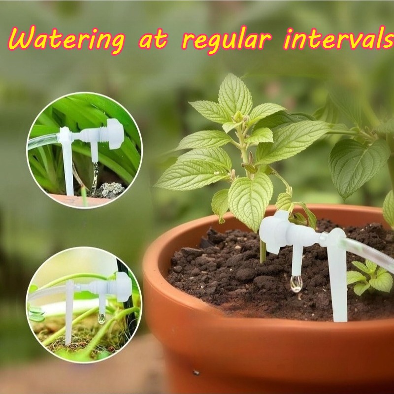 Automatic Irrigation Equipment - Watering Can ulasan dan harga