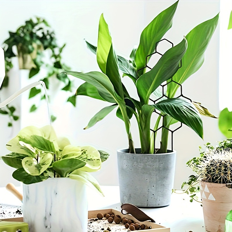 1PC Honeycomb Design Plant Tre - Indoor Herb Garden ulasan dan harga